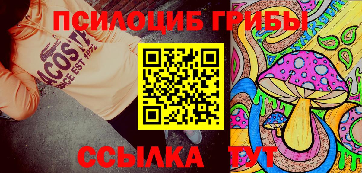 Псилоцибиновые грибы MAGIC MUSHROOMS  Вход с VPN  Добрянка 